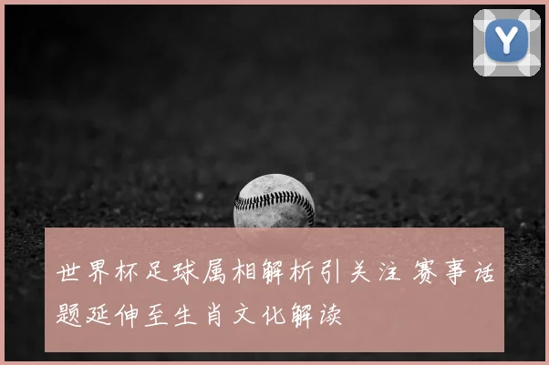 世界杯足球属相解析引关注 赛事话题延伸至生肖文化解读
