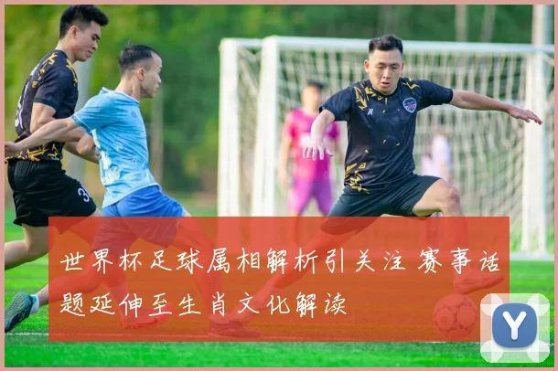 世界杯足球属相解析引关注 赛事话题延伸至生肖文化解读