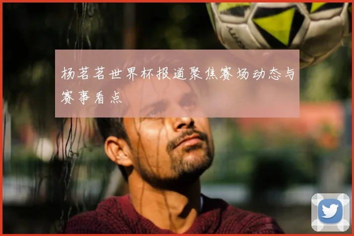 杨茗茗世界杯报道聚焦赛场动态与赛事看点