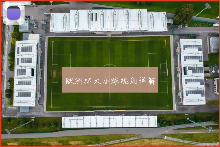 欧洲杯大小球规则详解