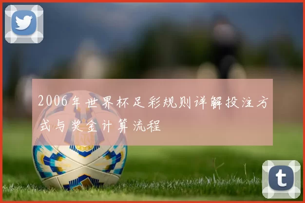 2006年世界杯足彩规则详解投注方式与奖金计算流程