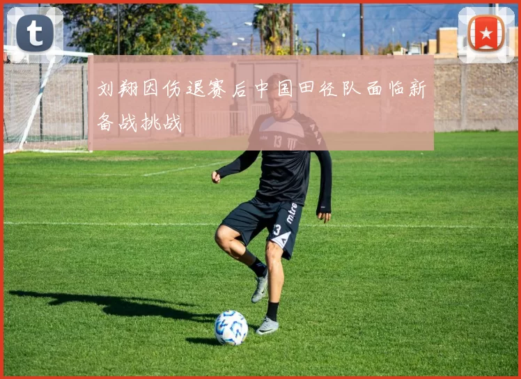 刘翔因伤退赛后中国田径队面临新备战挑战
