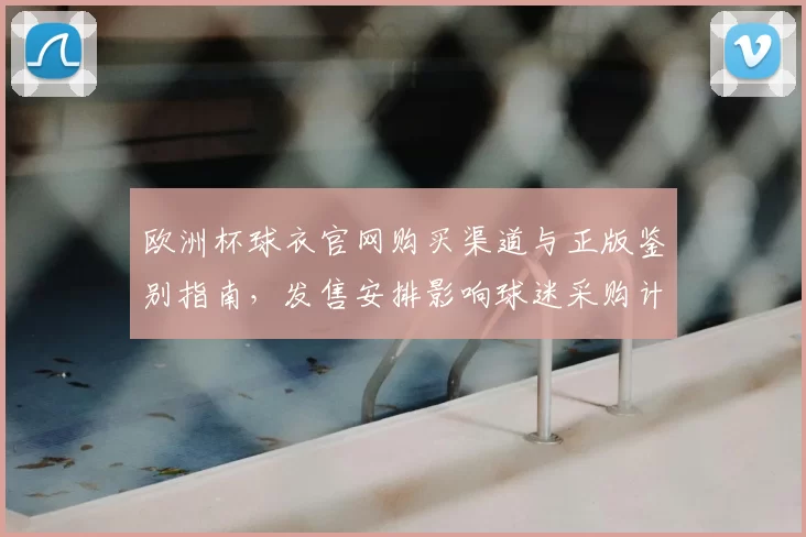 欧洲杯球衣官网购买渠道与正版鉴别指南，发售安排影响球迷采购计划