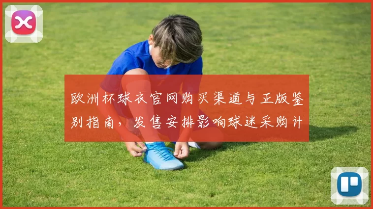 欧洲杯球衣官网购买渠道与正版鉴别指南，发售安排影响球迷采购计划