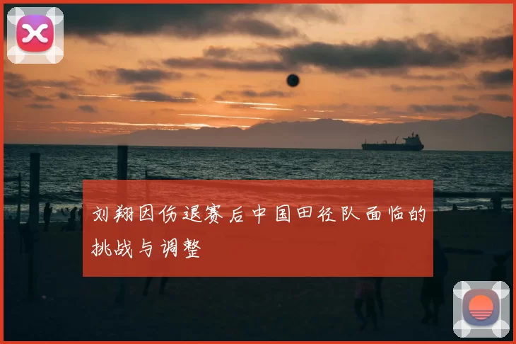 刘翔因伤退赛后中国田径队面临的挑战与调整