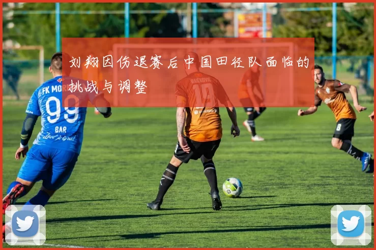 刘翔因伤退赛后中国田径队面临的挑战与调整