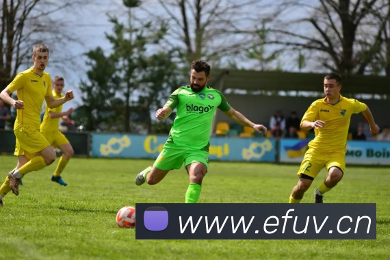 九游9官网入口全站App 九游9官网入口全站App